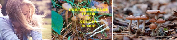 первитин Зеленокумск