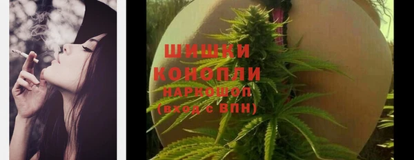 ПСИЛОЦИБИНОВЫЕ ГРИБЫ Зерноград