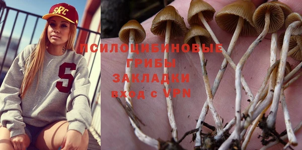 синтетический гашиш Зеленодольск